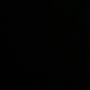 Meet your Posher, Sophie